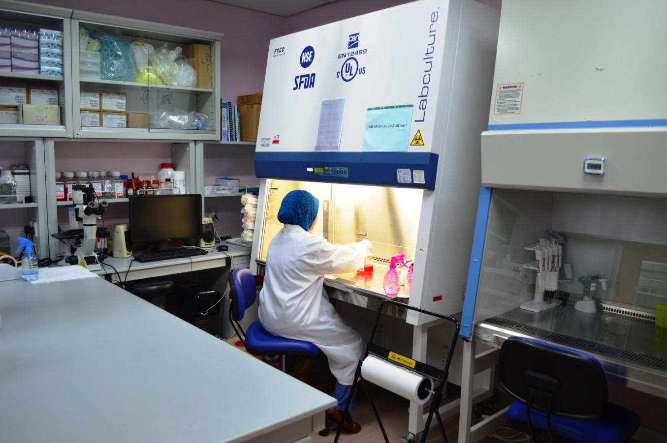research cell culture 