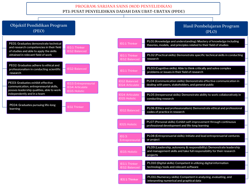 Navy Blue Corporate Work Breakdown Structure Presentation