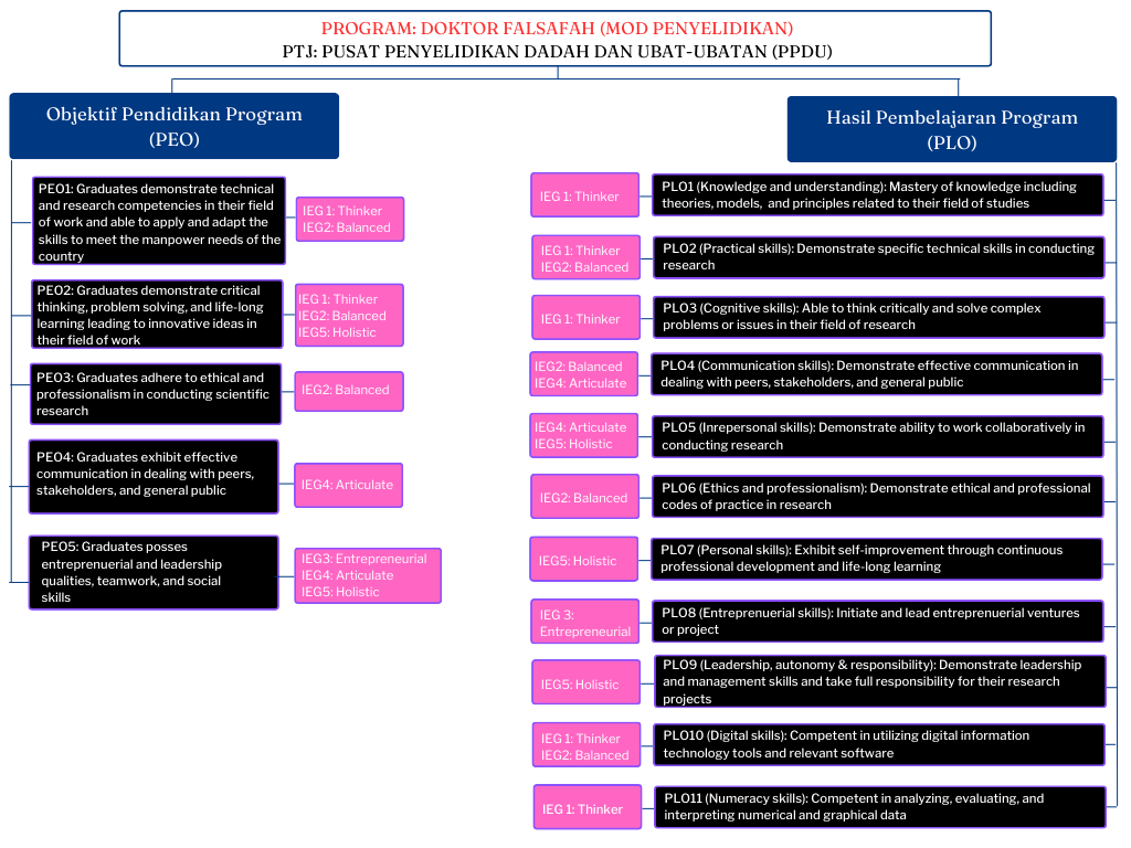 Navy Blue Corporate Work Breakdown Structure Presentation 1